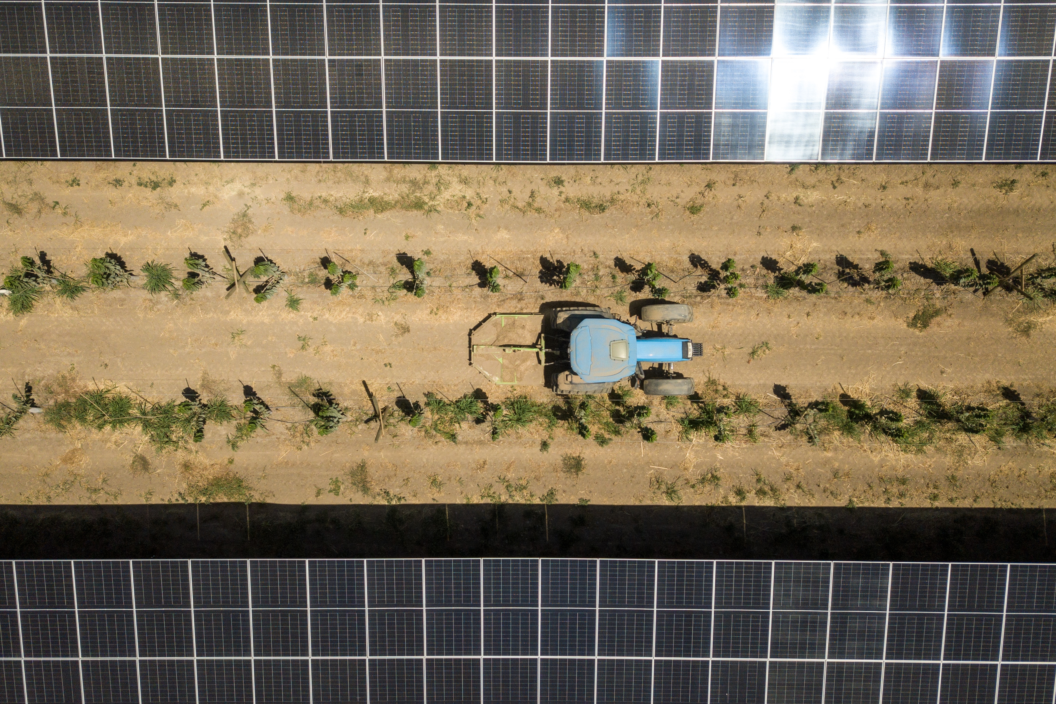 Tractor in a crop field, aerial view