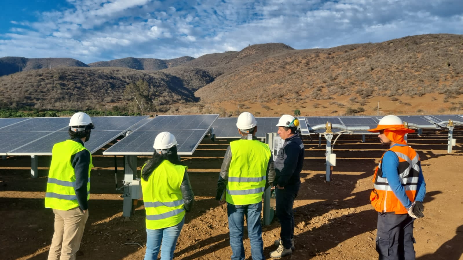 oEnergy firmó un joint venture con Blue Elephant Energy