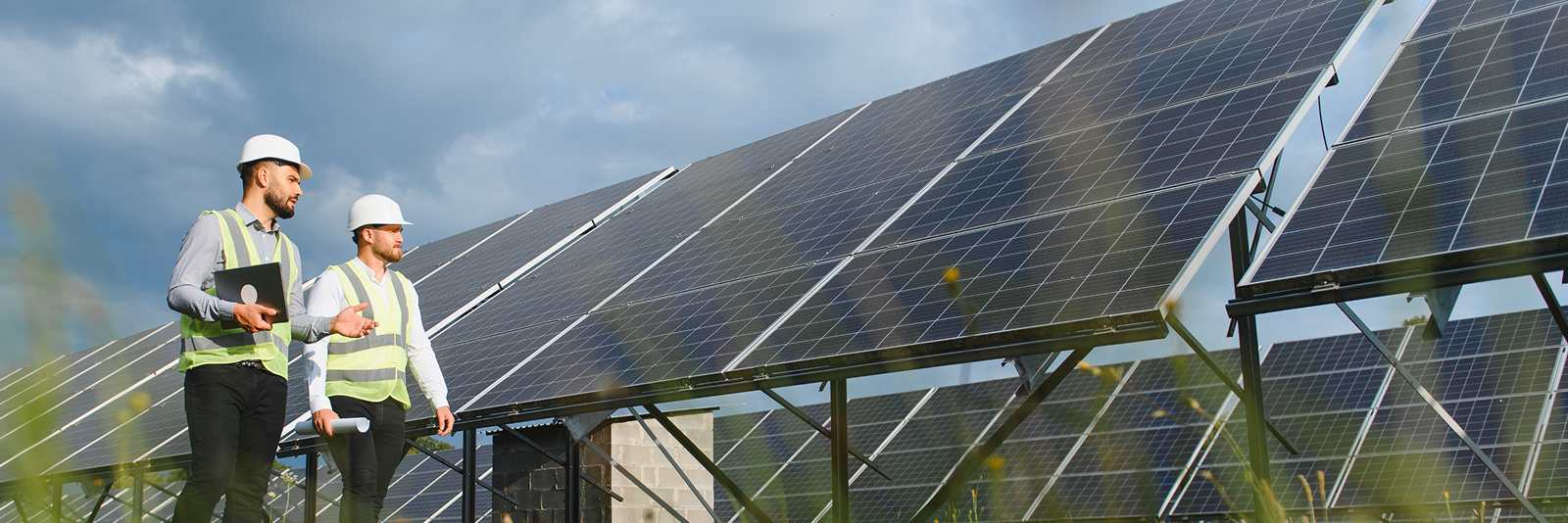 Profesionales en campo en planta solar