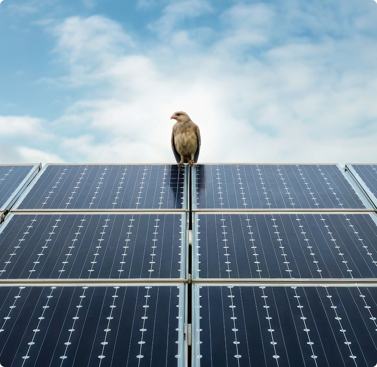 Paneles solares en operación